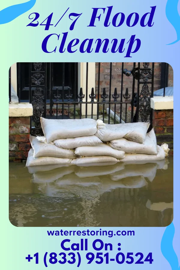 24/7 Flood Cleanup in Mayersville, MS