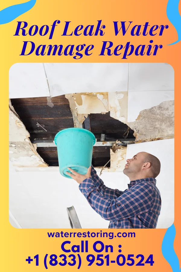 Roof Leak Water Damage Repair in Mayersville, MS