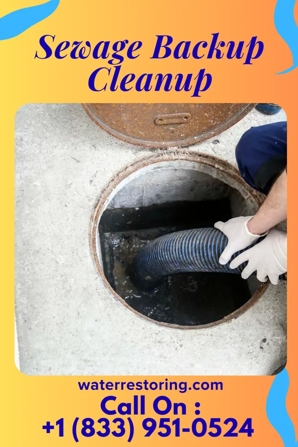 Sewage Backup Cleanup in Mayersville, MS
