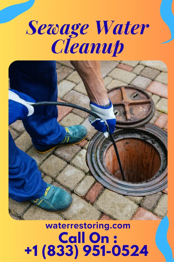 Sewage Water Cleanup in Mayersville, MS