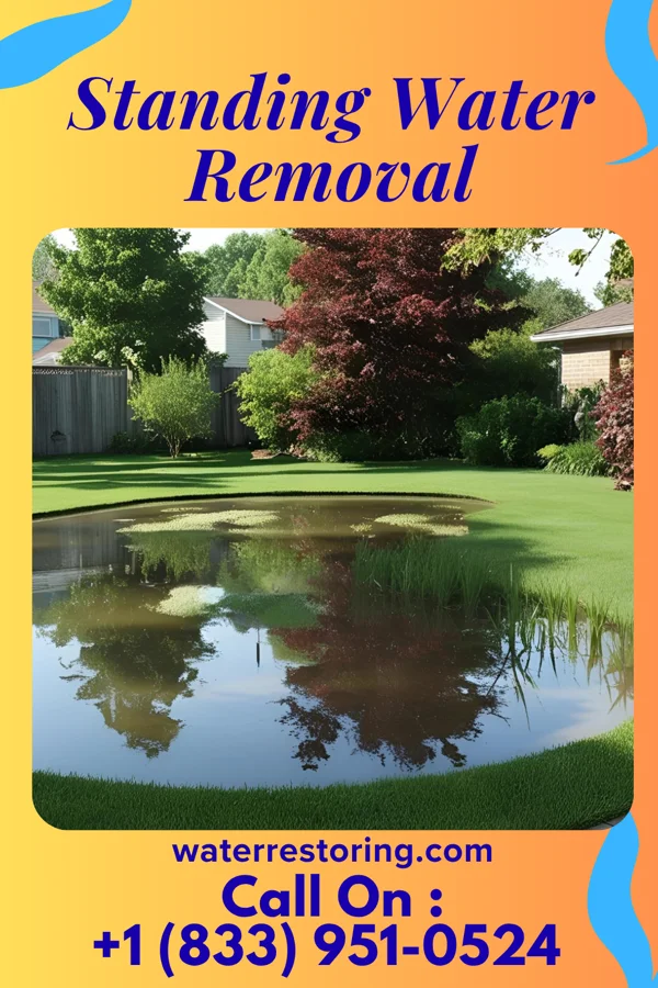 Standing Water Removal in Mayersville, MS